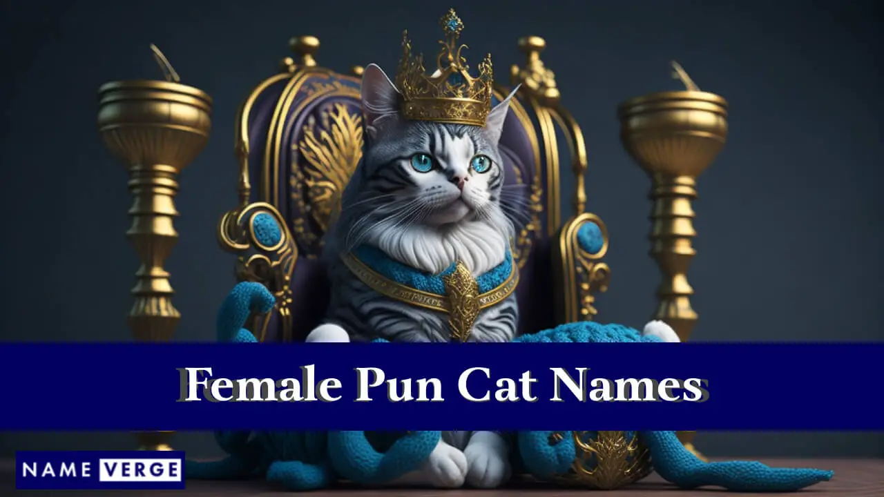 Nomi di gatti femminili