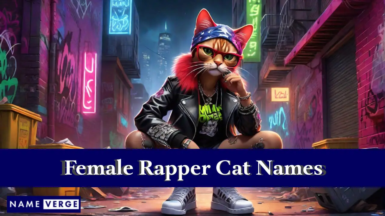 Nomi di gatti rapper femminili