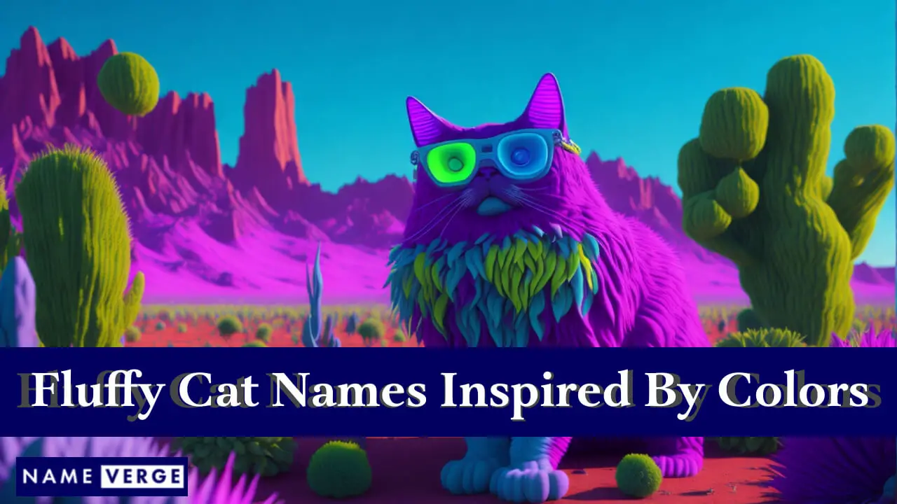 Nomi di gatti soffici ispirati ai colori