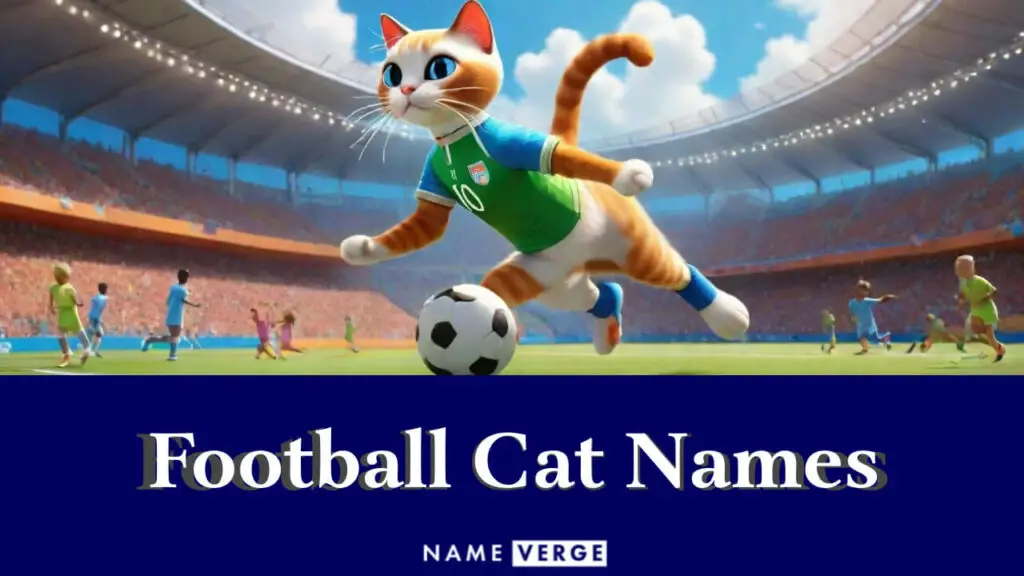 football cat names
