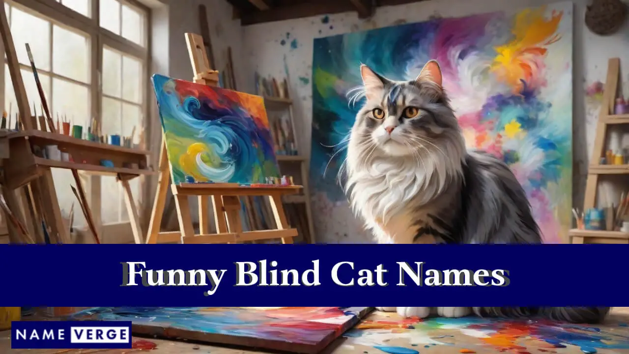 Nomi divertenti per gatti ciechi
