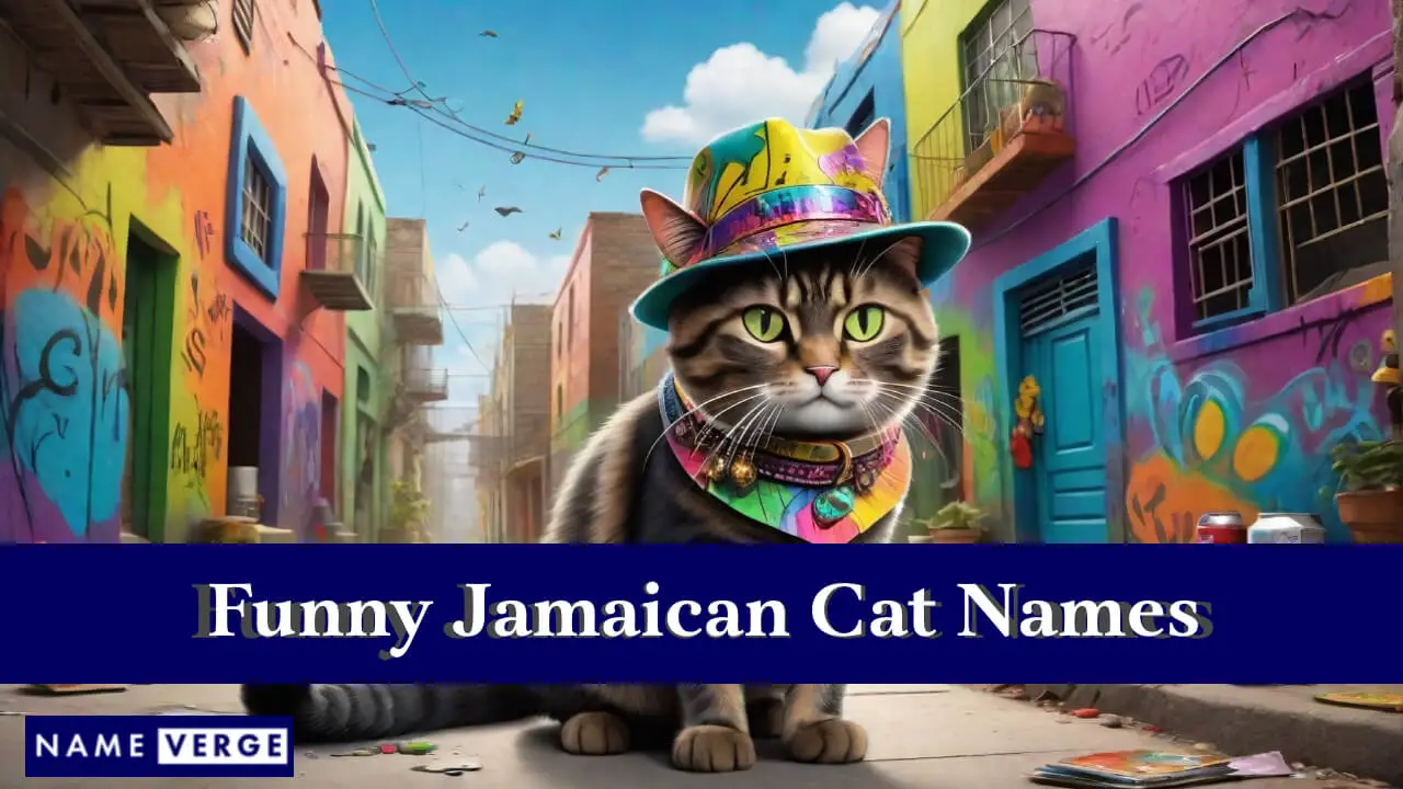 Nomi divertenti per gatti giamaicani
