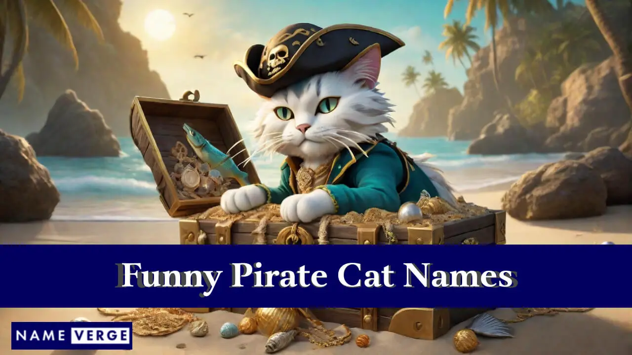 Nomi divertenti per gatti pirata