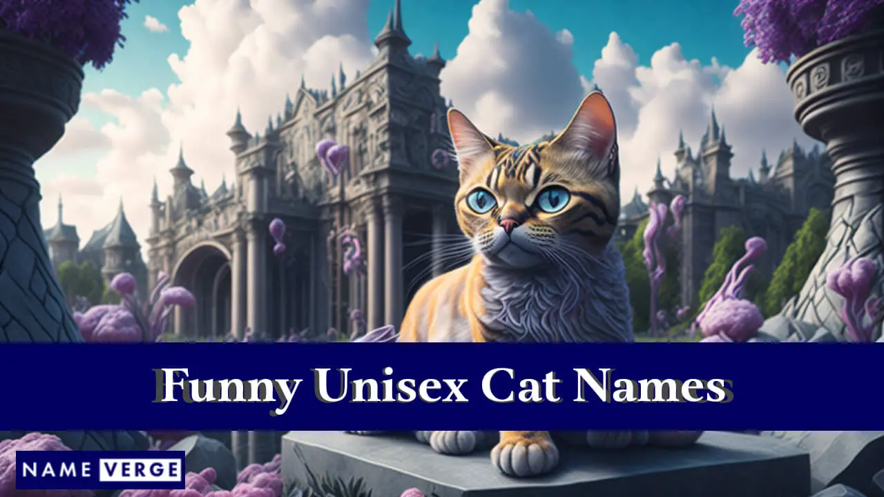 Nomi di gatti unisex divertenti