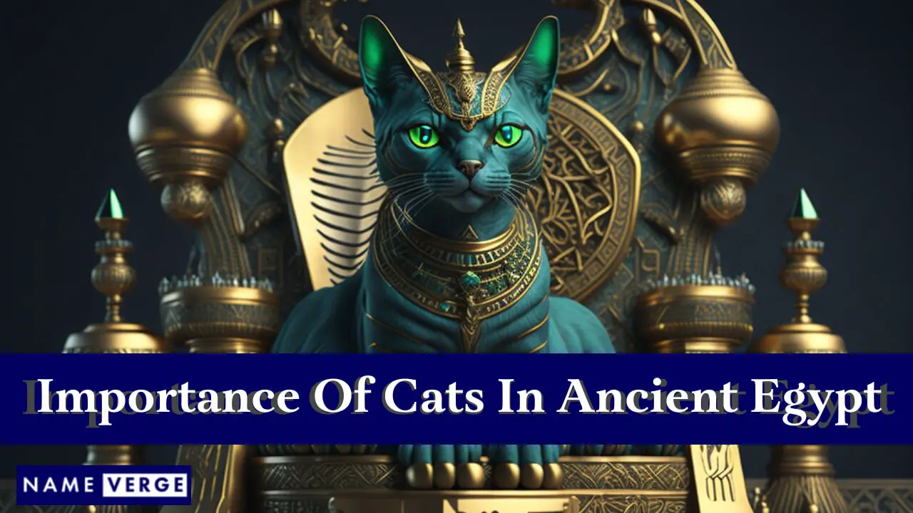 Importanza storica dei gatti nell'antico Egitto