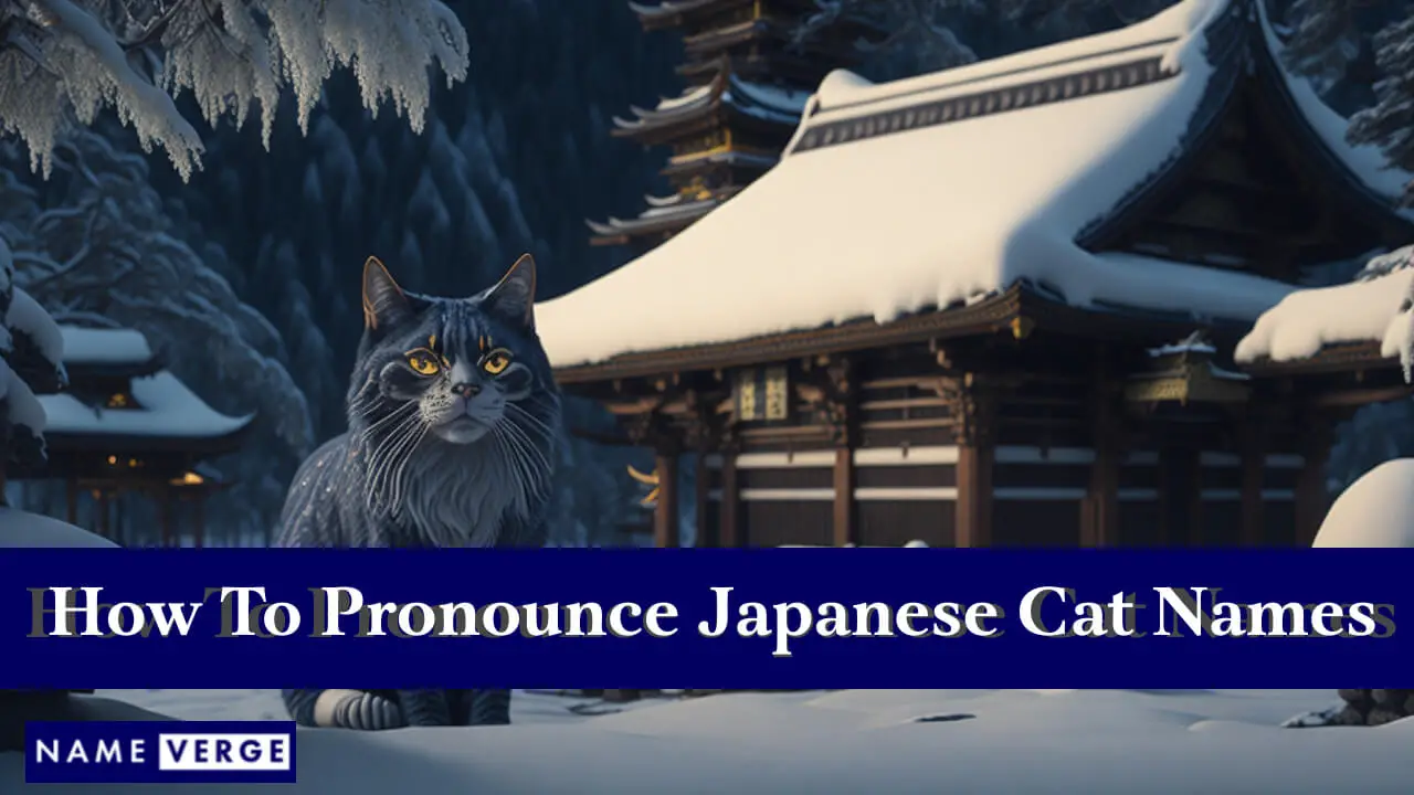 Come pronunciare i nomi dei gatti giapponesi