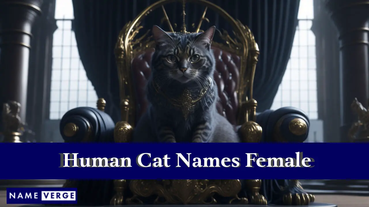 Nomi di gatti umani femminili