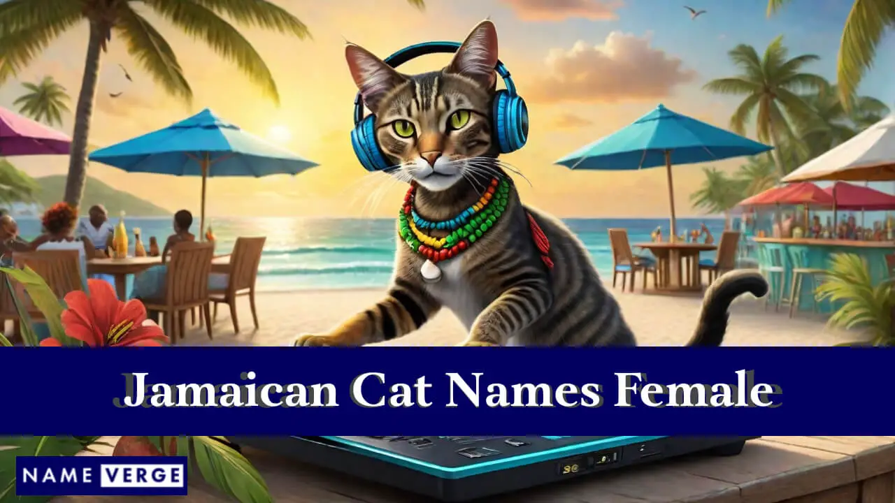 Nomi di gatti giamaicani femminili