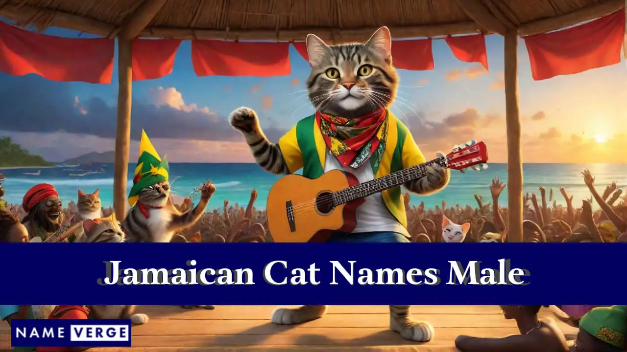 Nomi di gatti giamaicani maschi