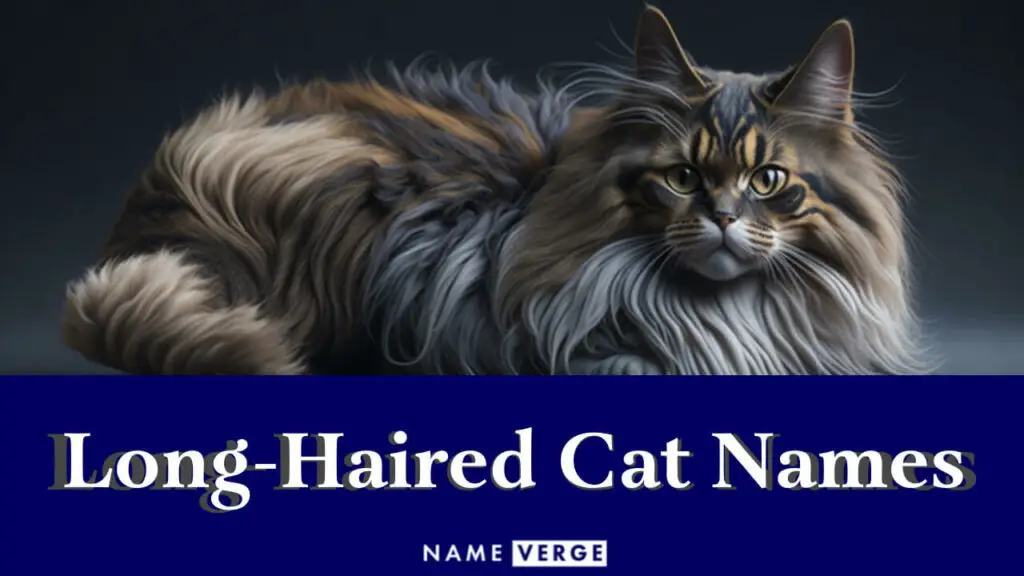 long haired cat names