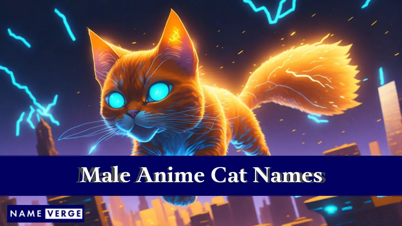 Nomi di gatti anime maschili