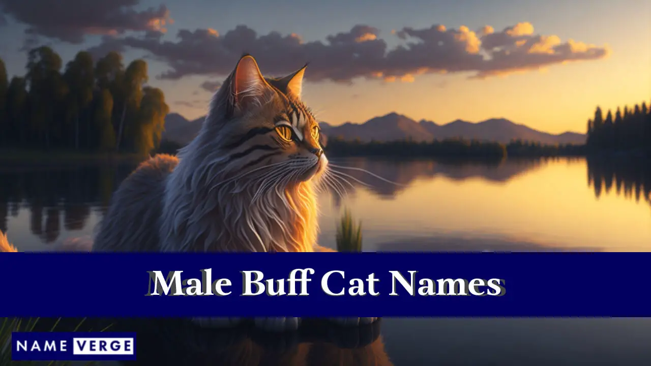 Nomi di gatti maschili