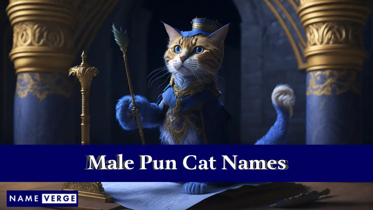 Nomi di gatti maschili