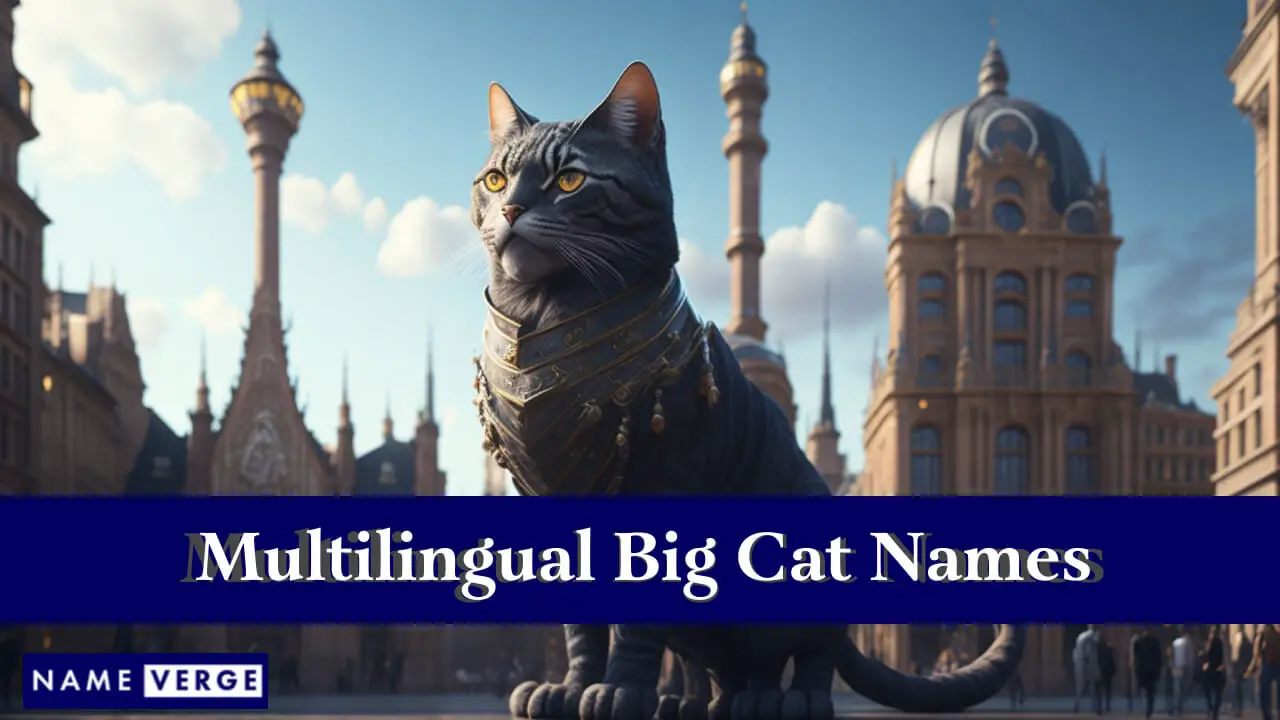 Nomi di grandi felini in altre lingue