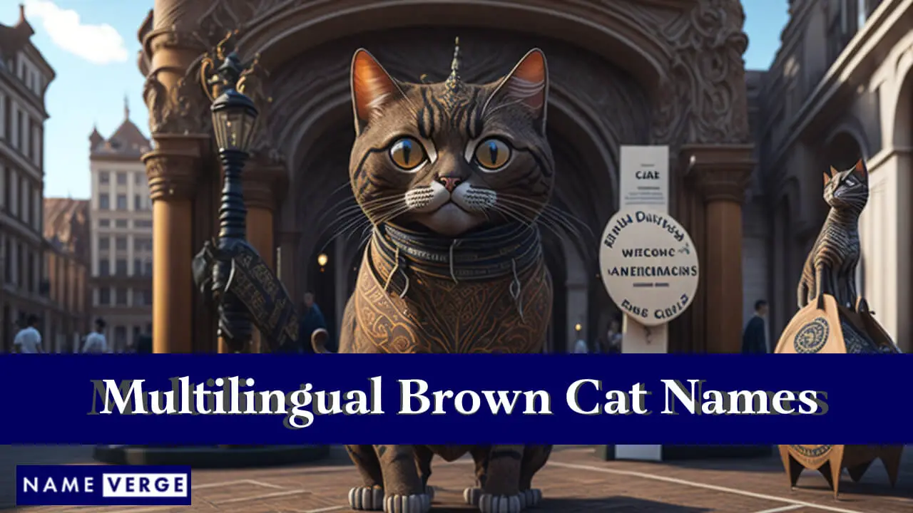 Nomi di gatti marroni in altre lingue