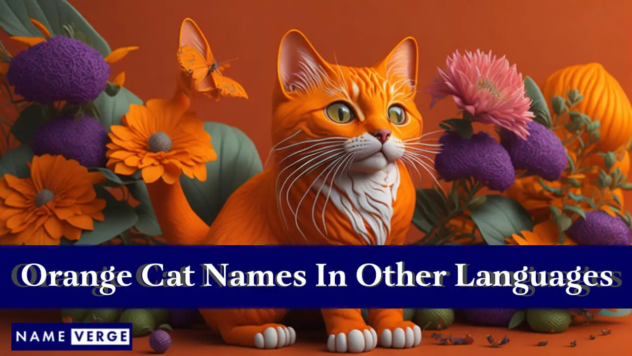 Nomi di gatti arancioni in altre lingue