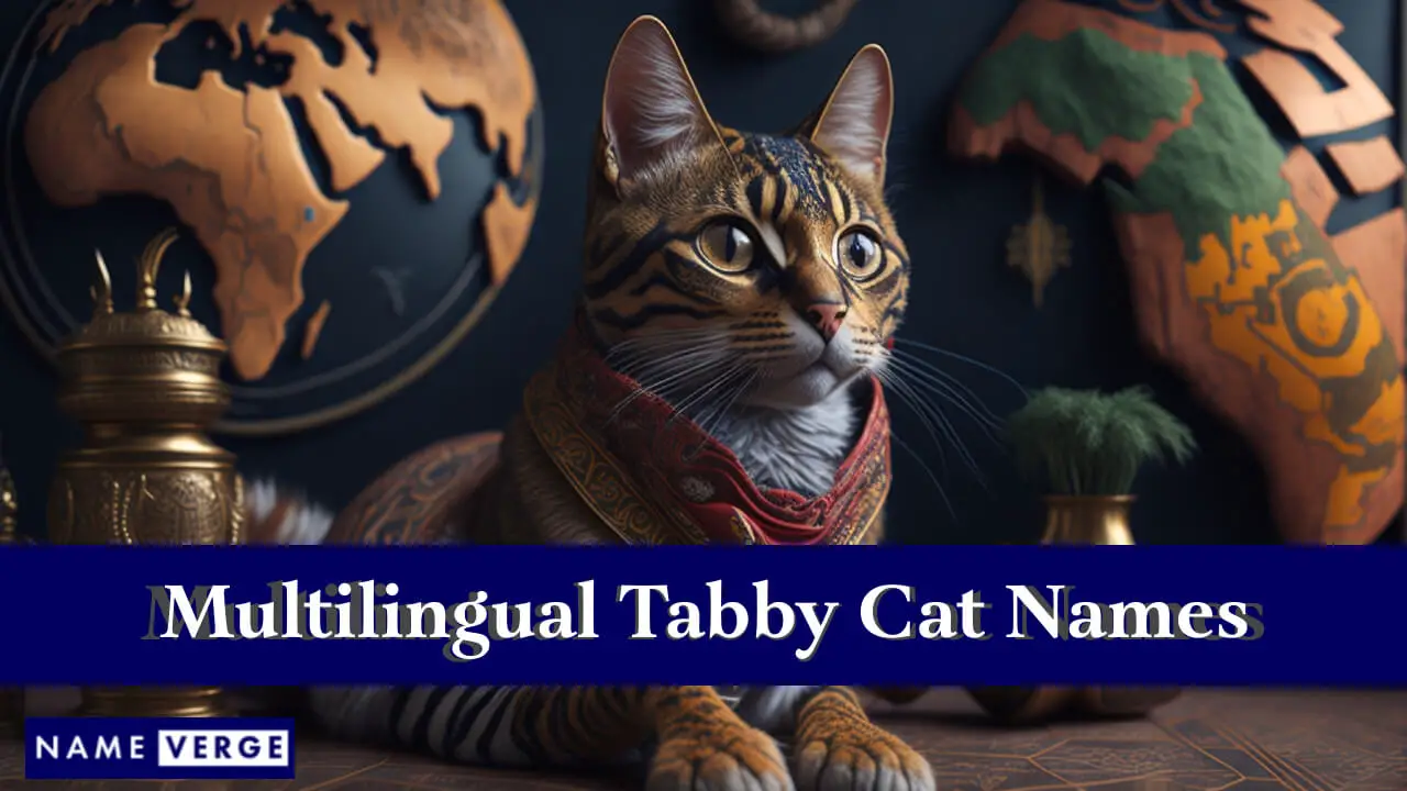 Nomi di gatti soriani in altre lingue