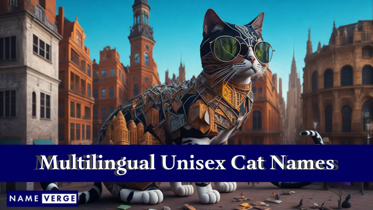 Nomi di gatti unisex in altre lingue