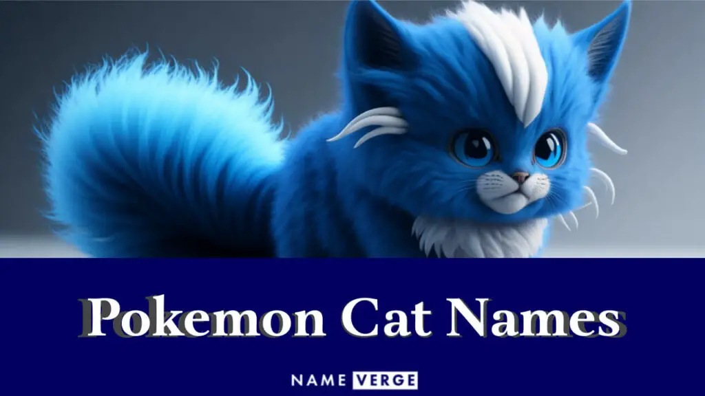 pokemon cat names