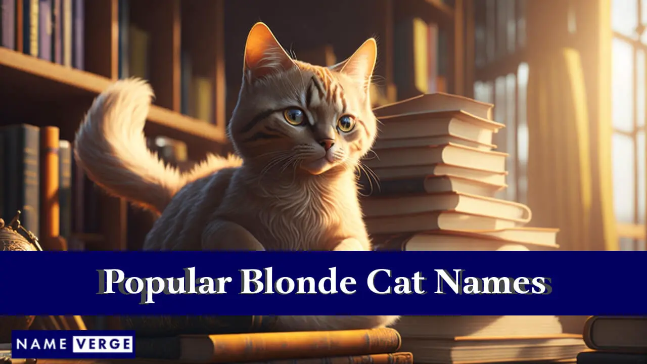 Nomi popolari di gatti biondi