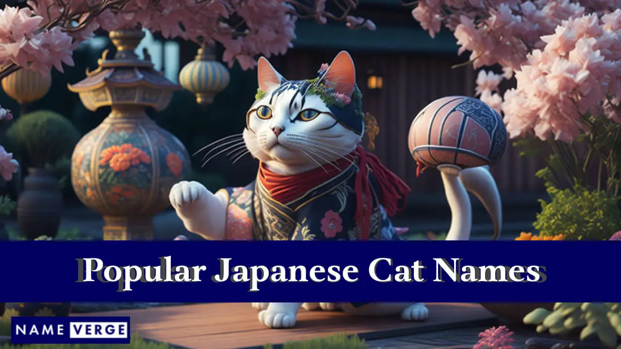 Nomi popolari di gatti giapponesi