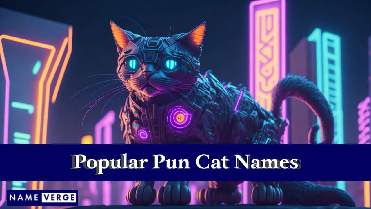 Nomi popolari di gatti con giochi di parole