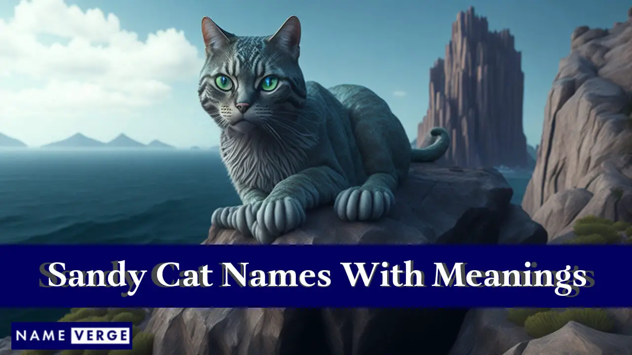 Nomi di gatti Sandy con significati