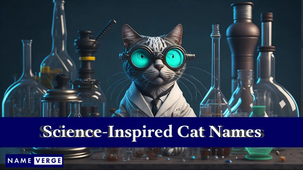 Nomi di gatti ispirati alla scienza