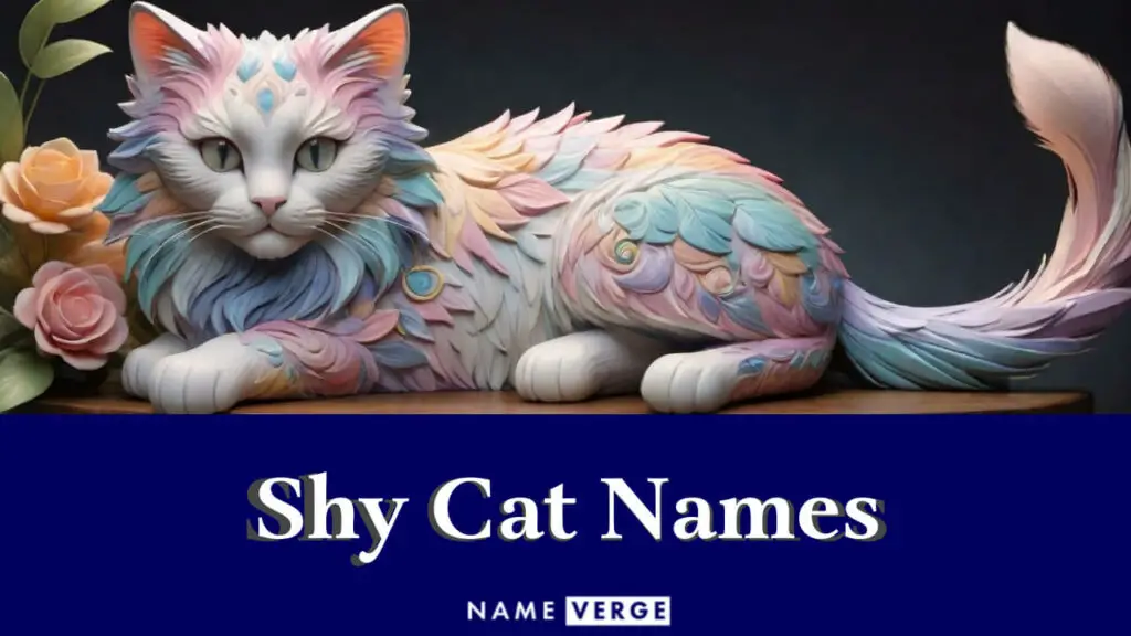 shy cat names