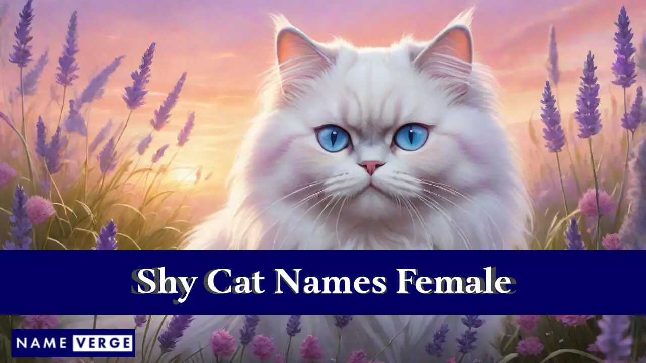 Nomi di gatti timidi femminili