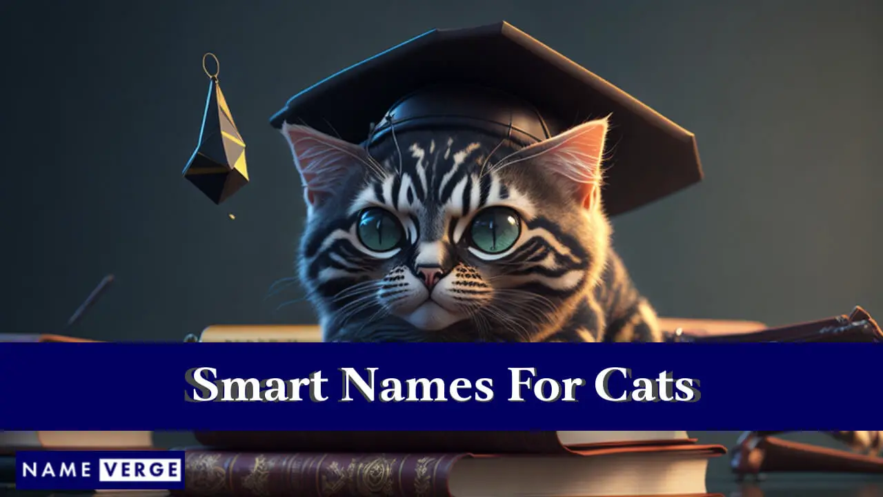 Nomi intelligenti per gatti
