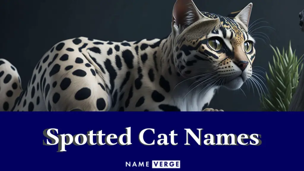 spotted cat names
