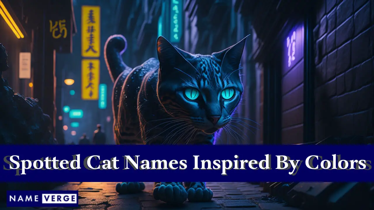 Nomi di gatti maculati ispirati ai colori