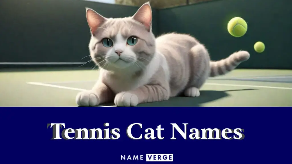tennis cat names