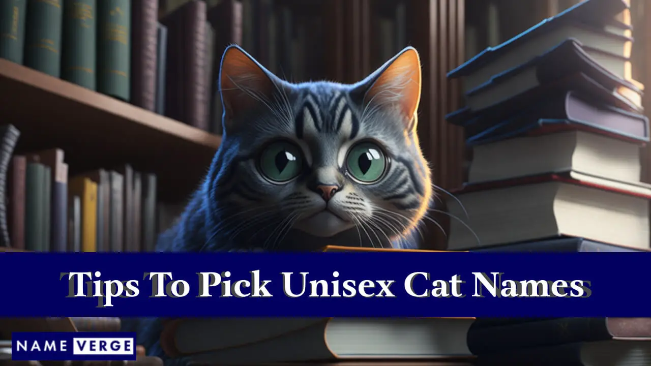 Suggerimenti per scegliere nomi di gatti unisex