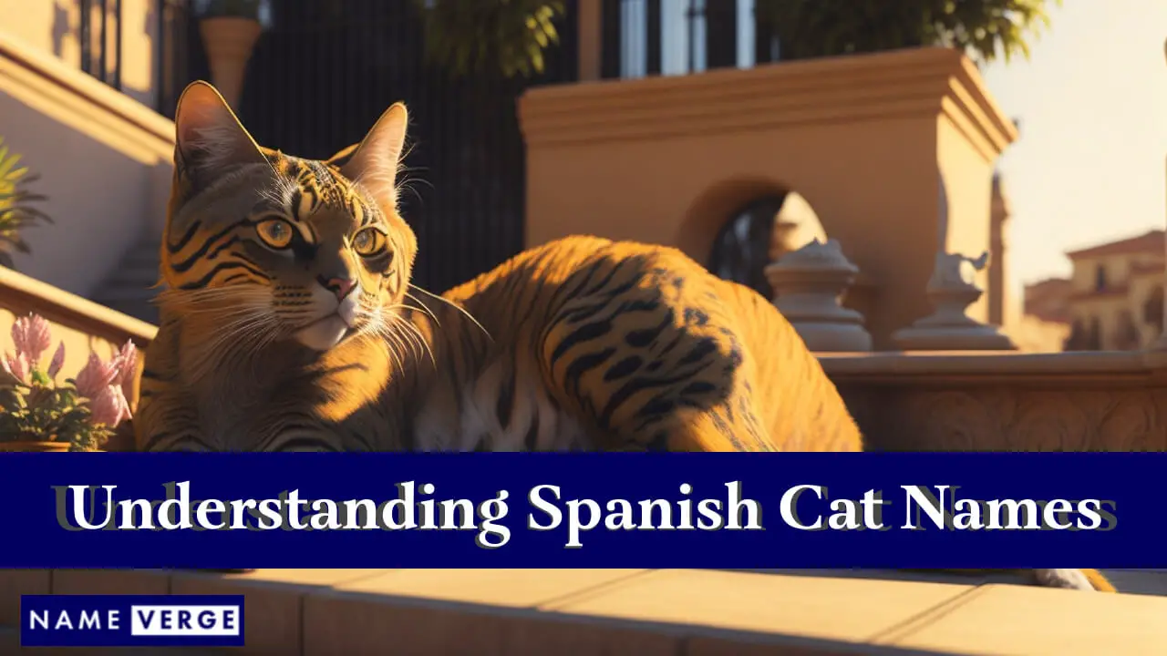 Capire i nomi dei gatti spagnoli