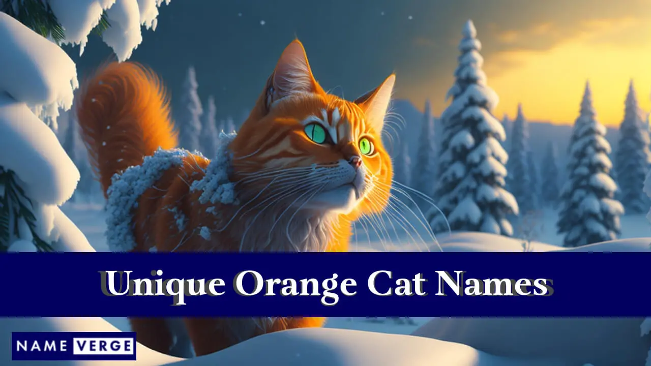 Nomi di gatti arancioni unici