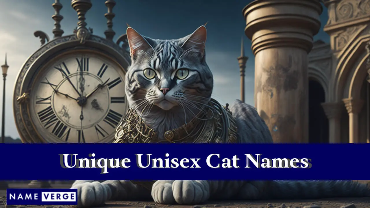 Nomi di gatti unisex unici