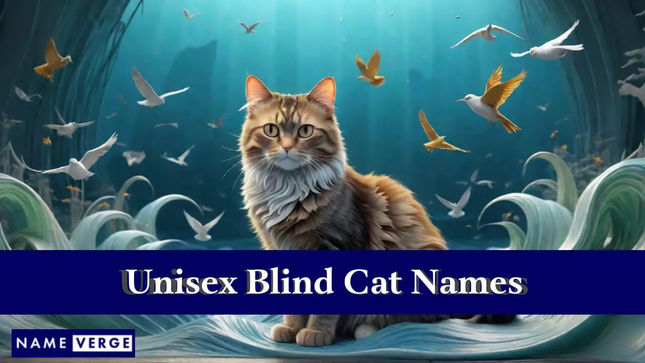 Nomi di gatti ciechi unisex