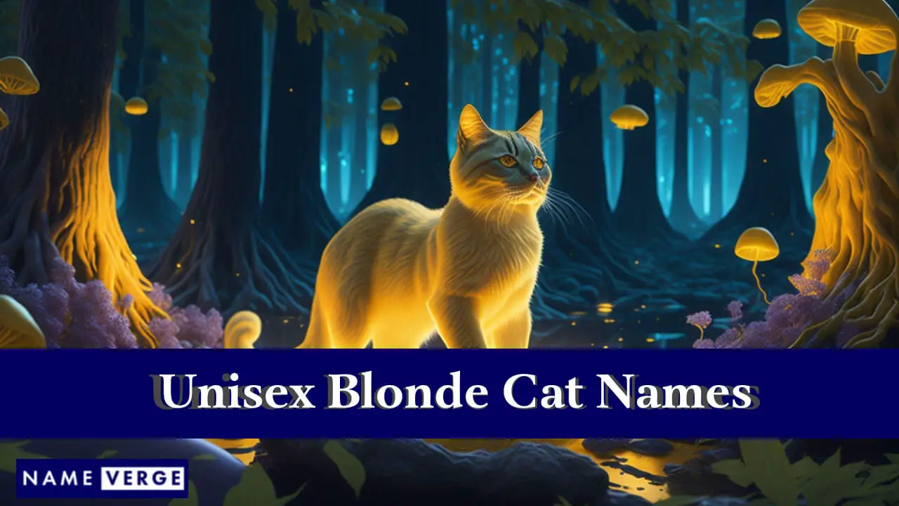 Nomi di gatti biondi unisex