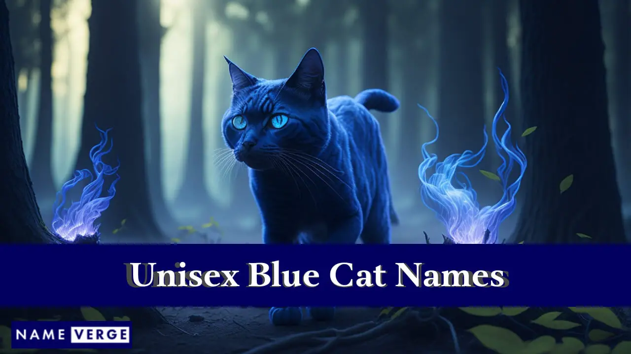 Nomi di gatti blu unisex