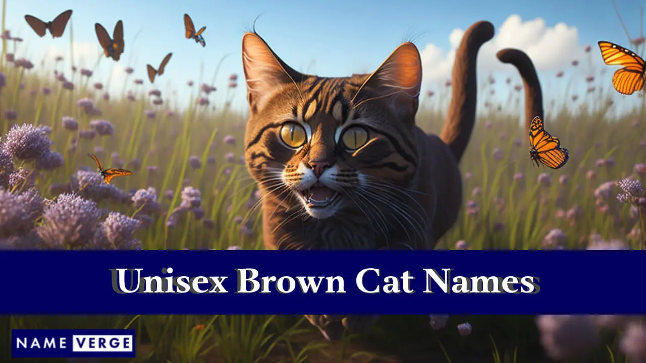Nomi di gatti marroni unisex