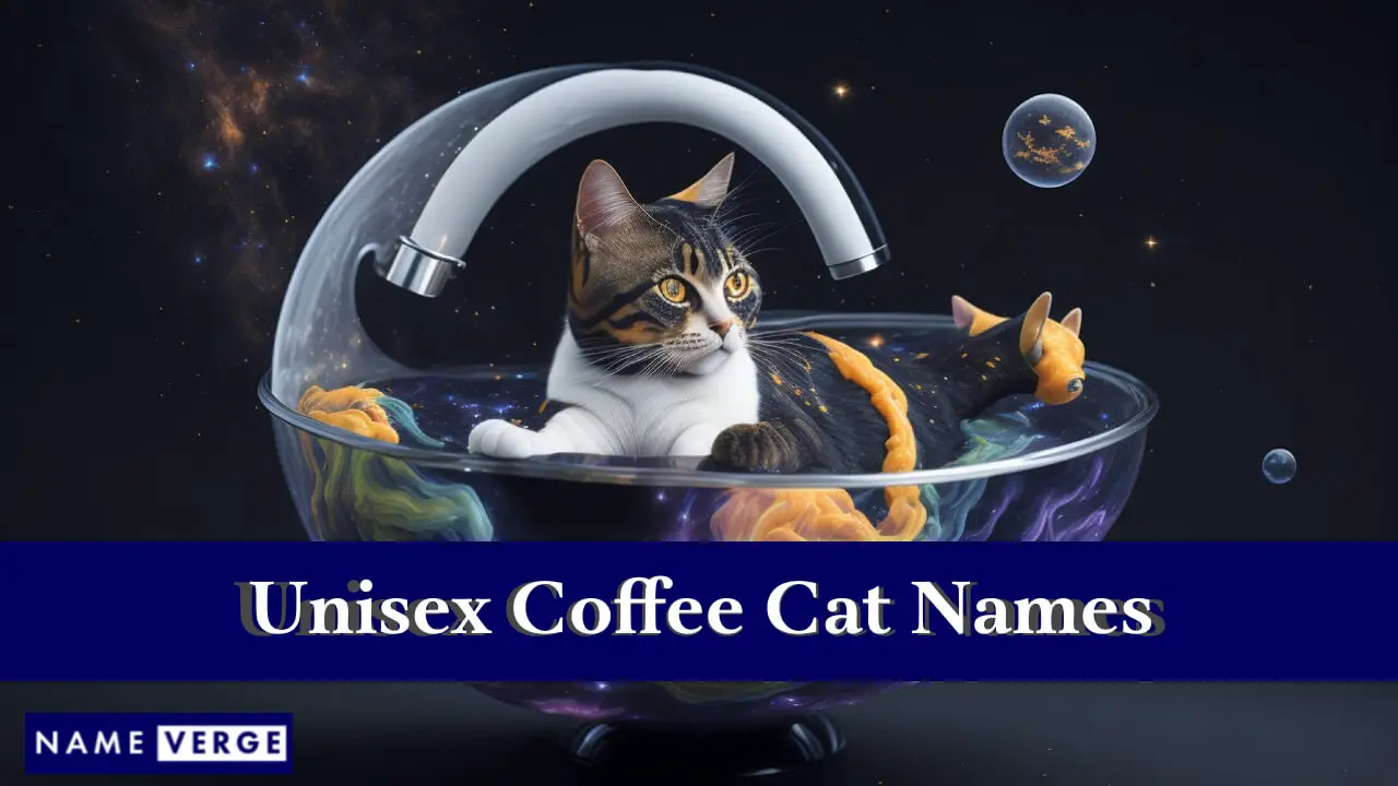 Nomi di gatti caffè unisex