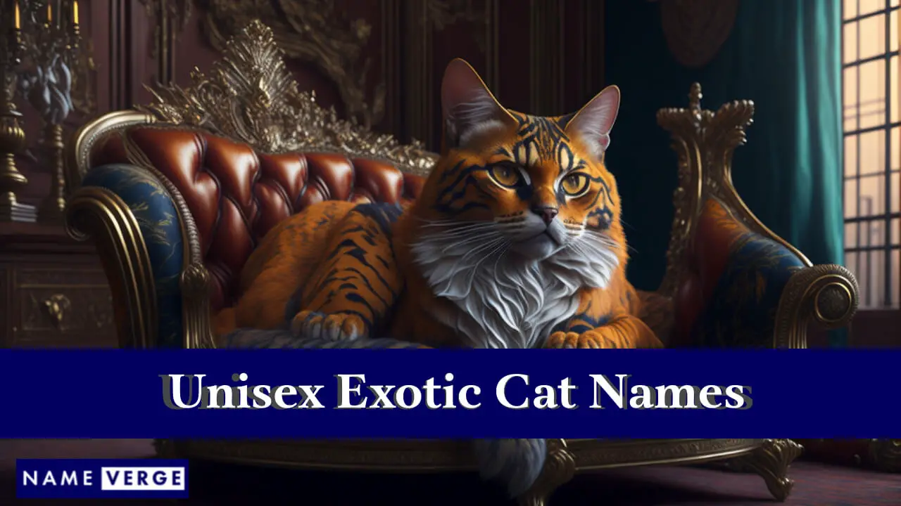 Nomi di gatti esotici unisex