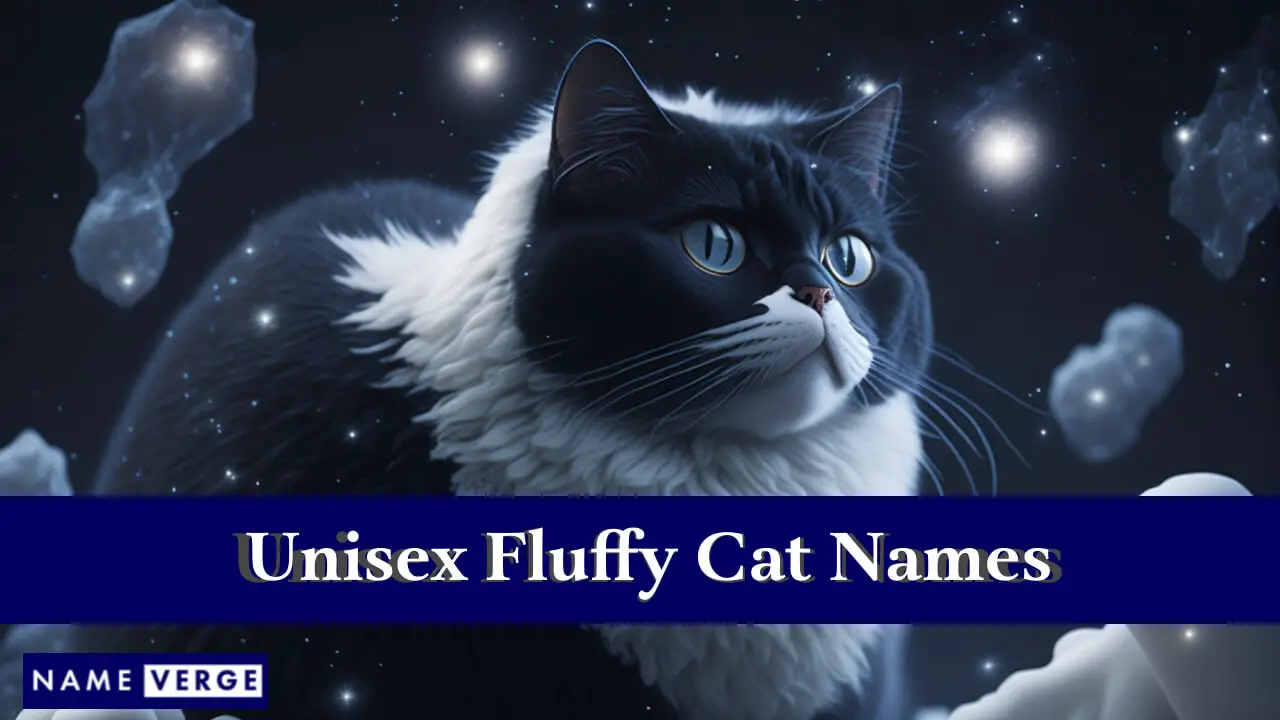 Nomi di gatti soffici unisex