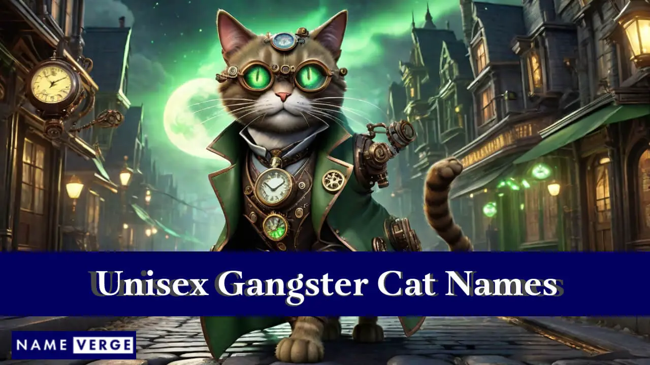 Nomi di gatti gangster unisex