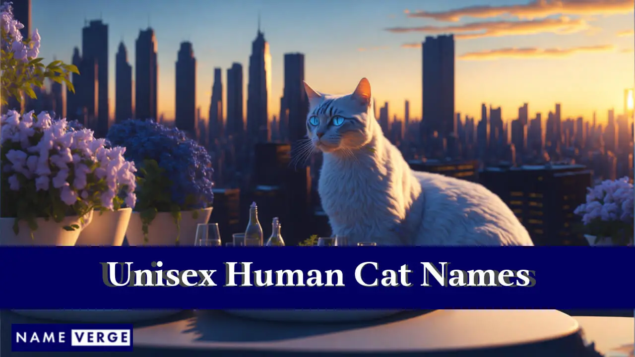 Nomi di gatti umani unisex