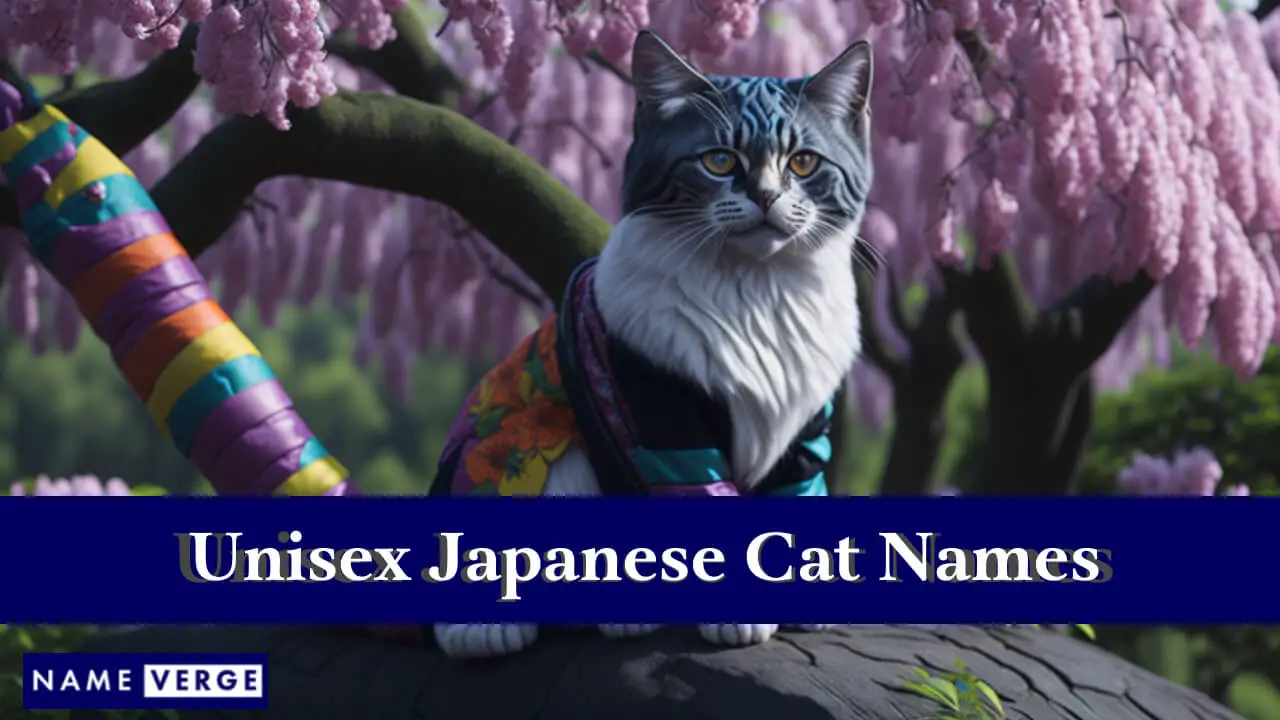 Nomi di gatti giapponesi unisex