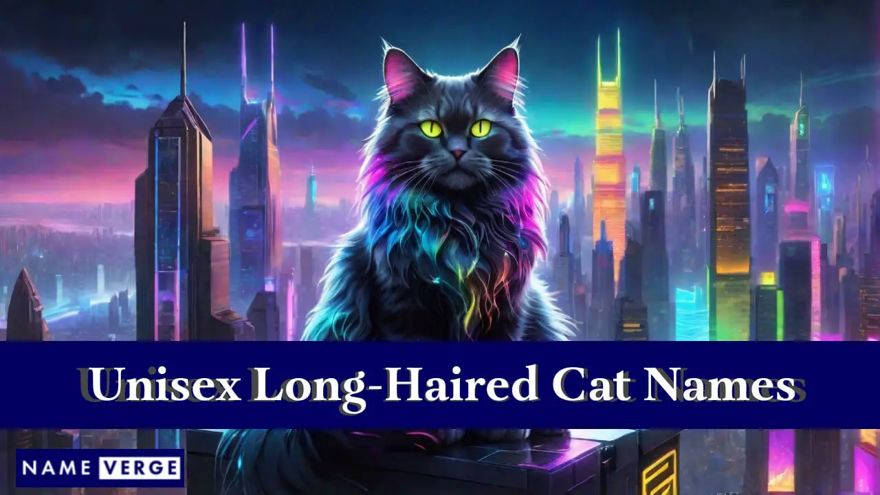 Nomi di gatti a pelo lungo unisex
