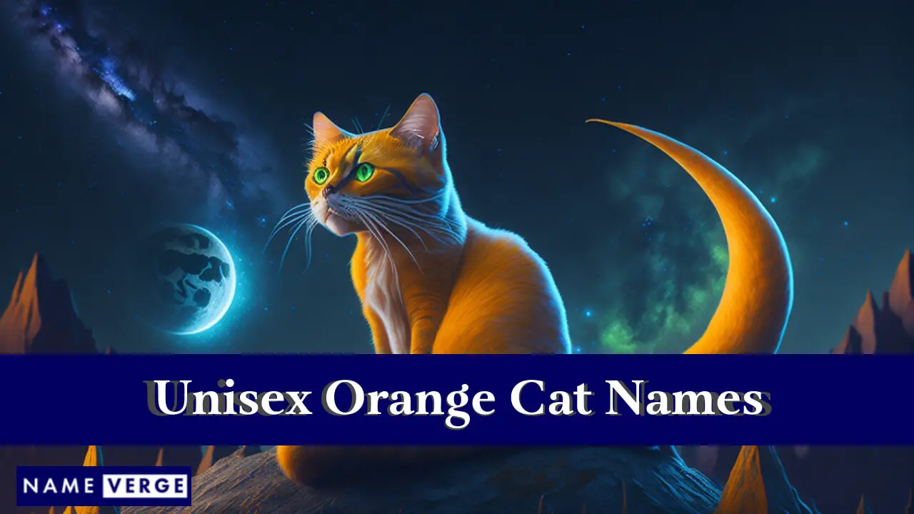 Nomi di gatti arancioni unisex